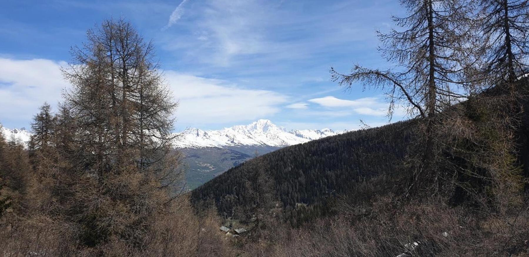 Residence Plagne Lauze - Maeva Home - Appartement 2 Pieces 5 Personnes - Confort Mae-9202 Macot-la-Plagne Exteriör bild